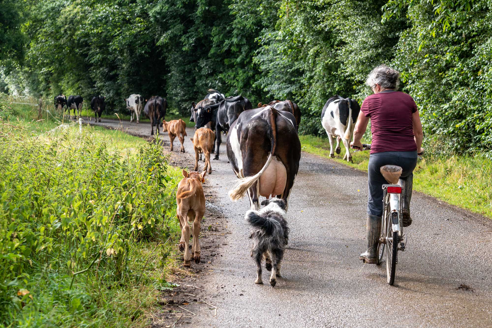 C'est Aussi ...la Vie À La Ferme