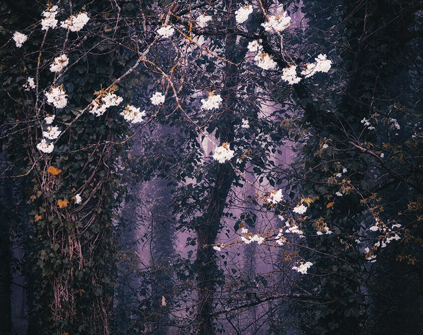 Anna Moon, Mon monde dans vos yeux