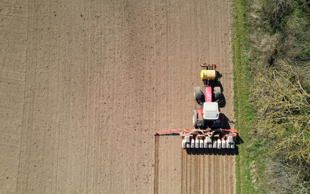 Insecticide, comment l&rsquo;agrochimie a tué les insectes